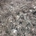 白芍种苗产地直销技术指导回收产品量大优惠