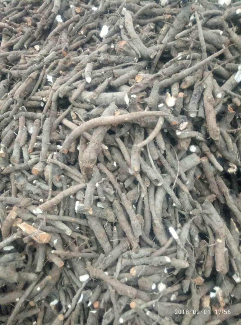 白芍种苗产地直销技术指导回收产品量大优惠