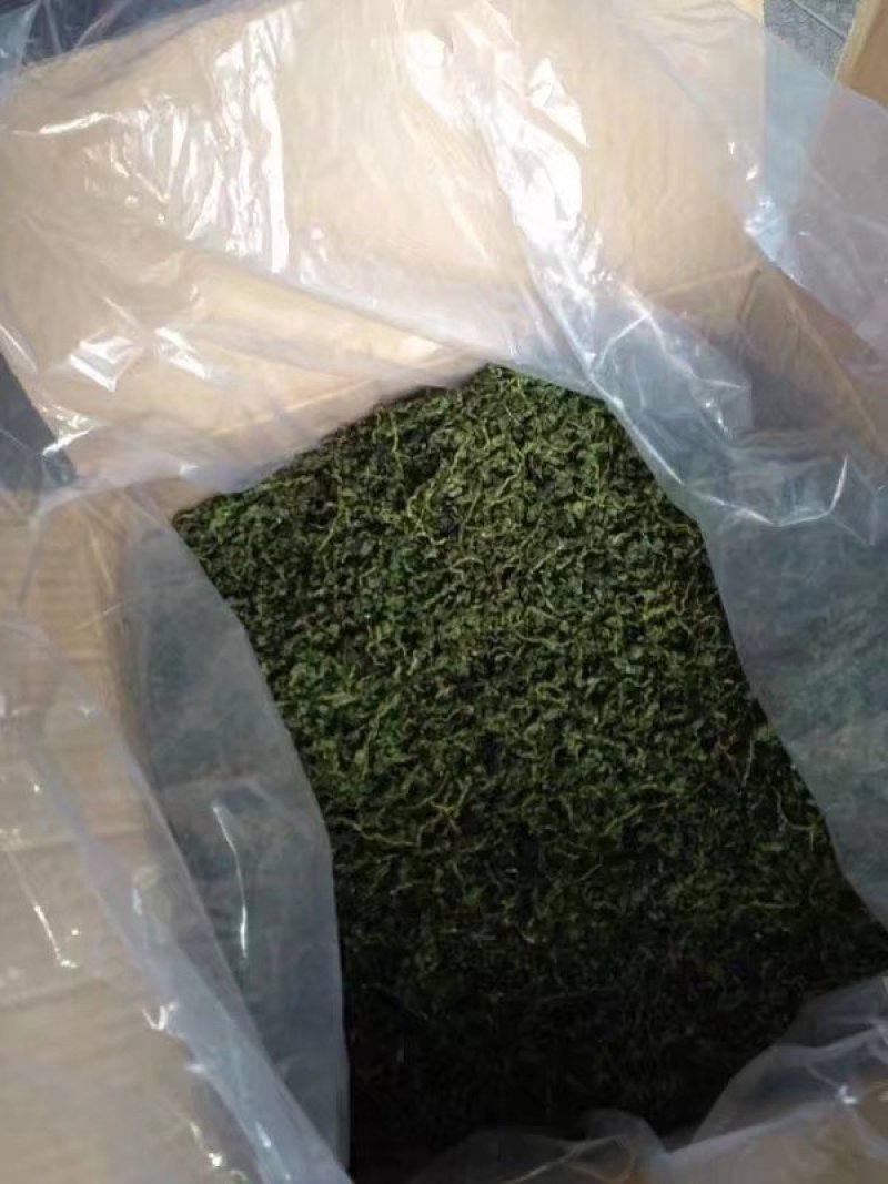 铁观音毛茶品质上乘质量保证价格实惠欢迎联系