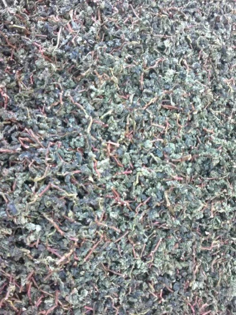 铁观音毛茶品质上乘质量保证价格实惠欢迎联系