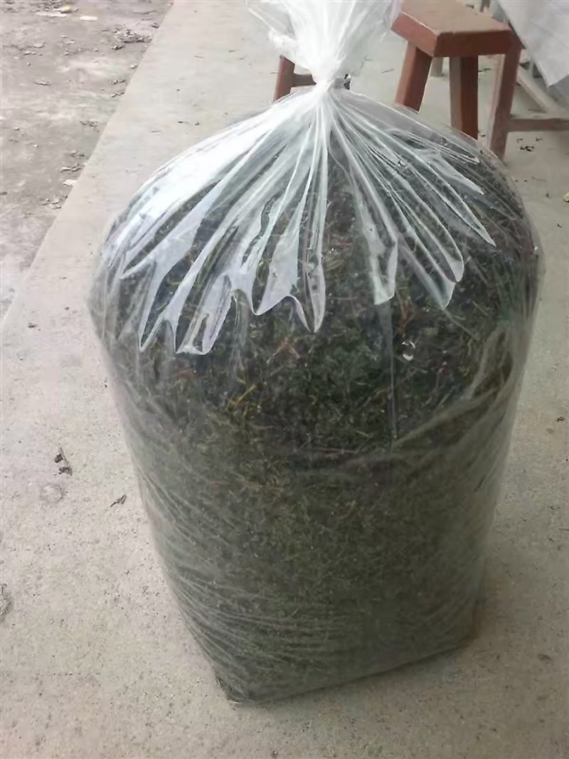 铁观音毛茶品质上乘质量保证价格实惠欢迎联系