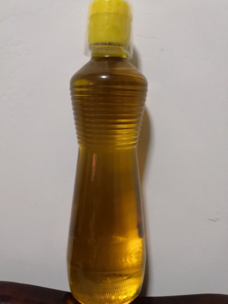高山野生茶油上市