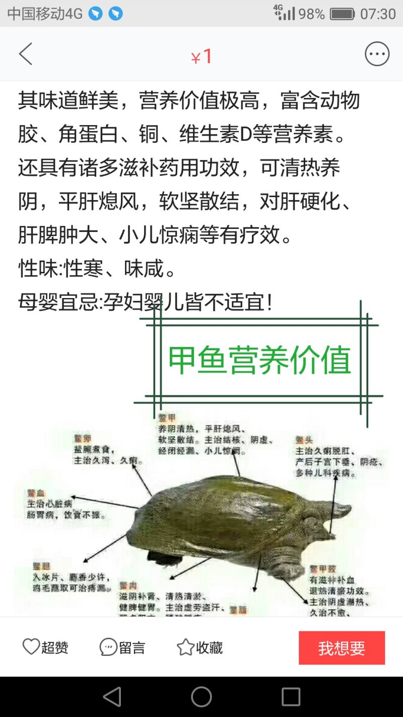 5年外塘冷水黄河鳖精品，不买您后悔