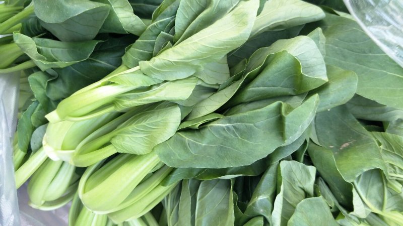鸡毛菜