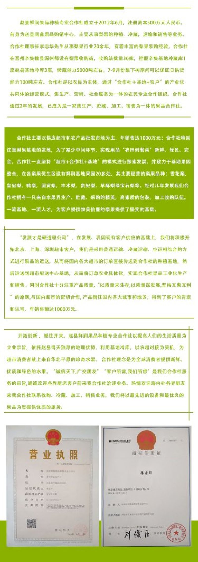 河北赵县鸭梨产地供货果型好颜色白