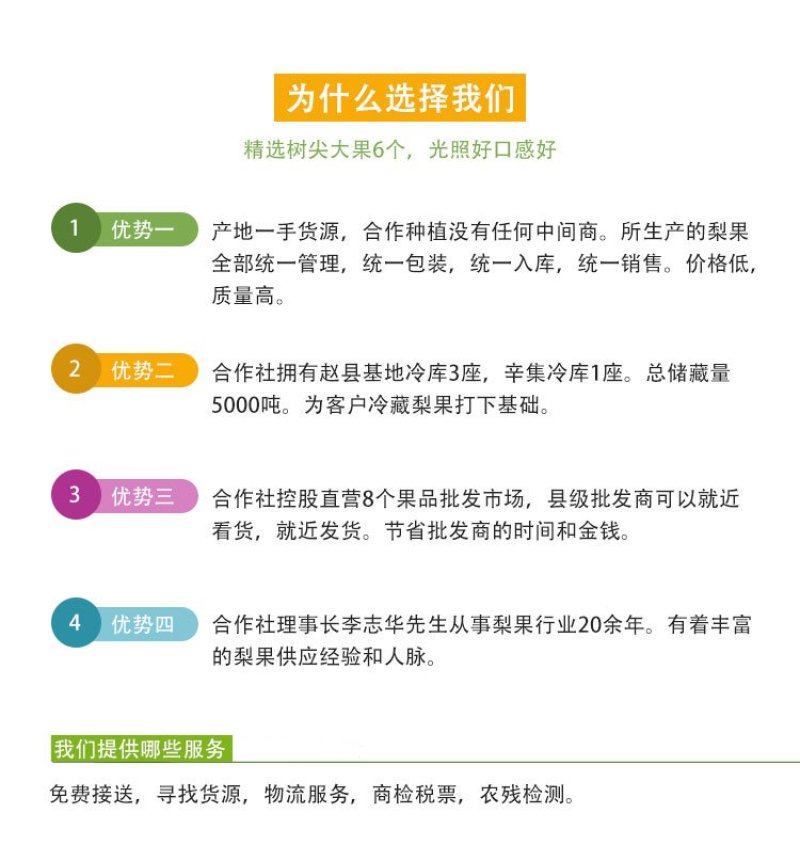 河北赵县鸭梨产地供货果型好颜色白