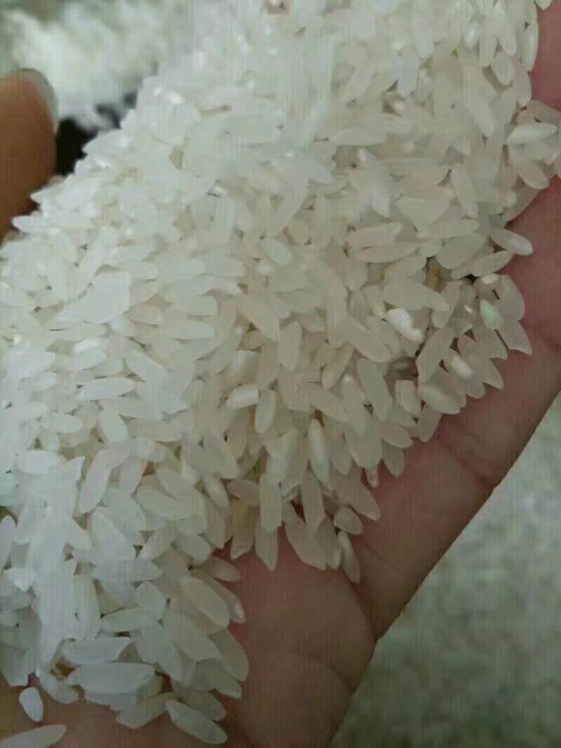 有机生态米