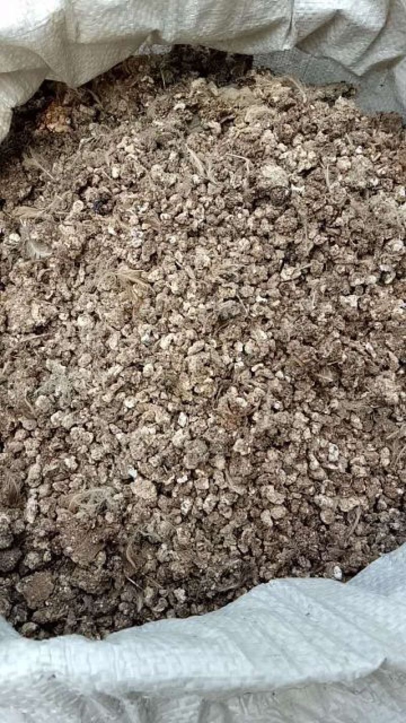 鹌鹑粪鸽子粪纯颗粒无杂质。质量好的很