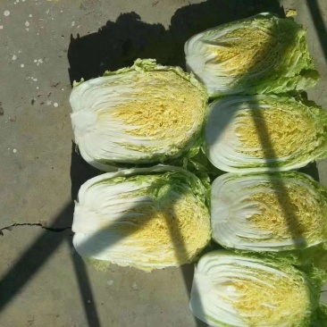 黄心白菜