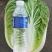 黄心白菜