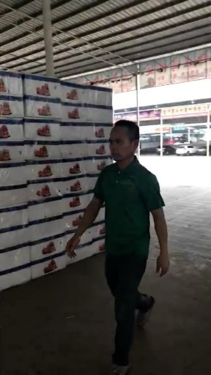 越南黑金刚莲雾工厂一手货源批发商直销批发
