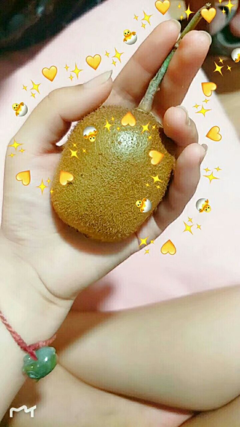 徐香猕猴桃