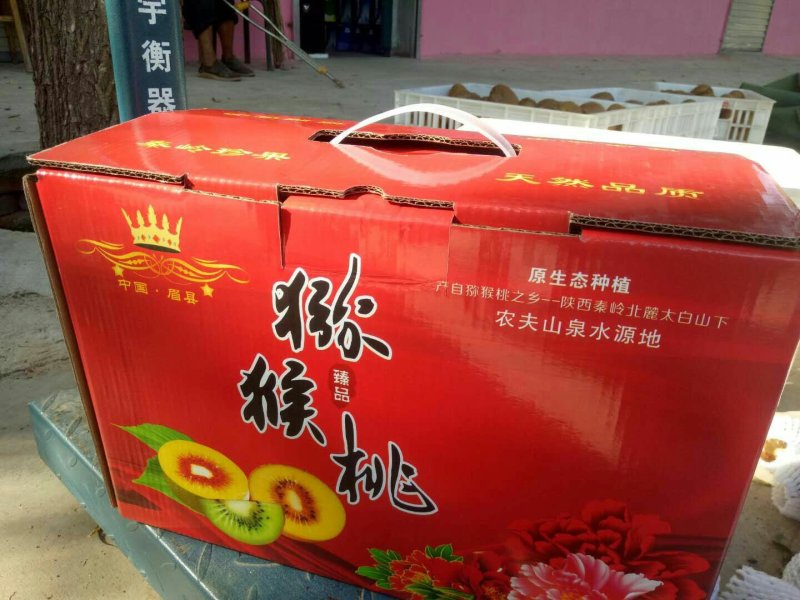徐香猕猴桃
