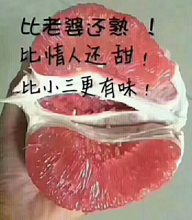 正宗平和琯溪蜜柚，又红又甜，皮薄多汁，现摘现卖[呲牙]。