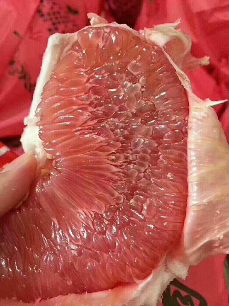 正宗平和琯溪蜜柚，又红又甜，皮薄多汁，现摘现卖[呲牙]。