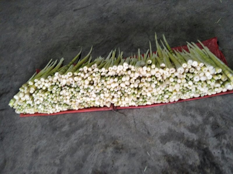 纯天然绿色食品《方竹笋》