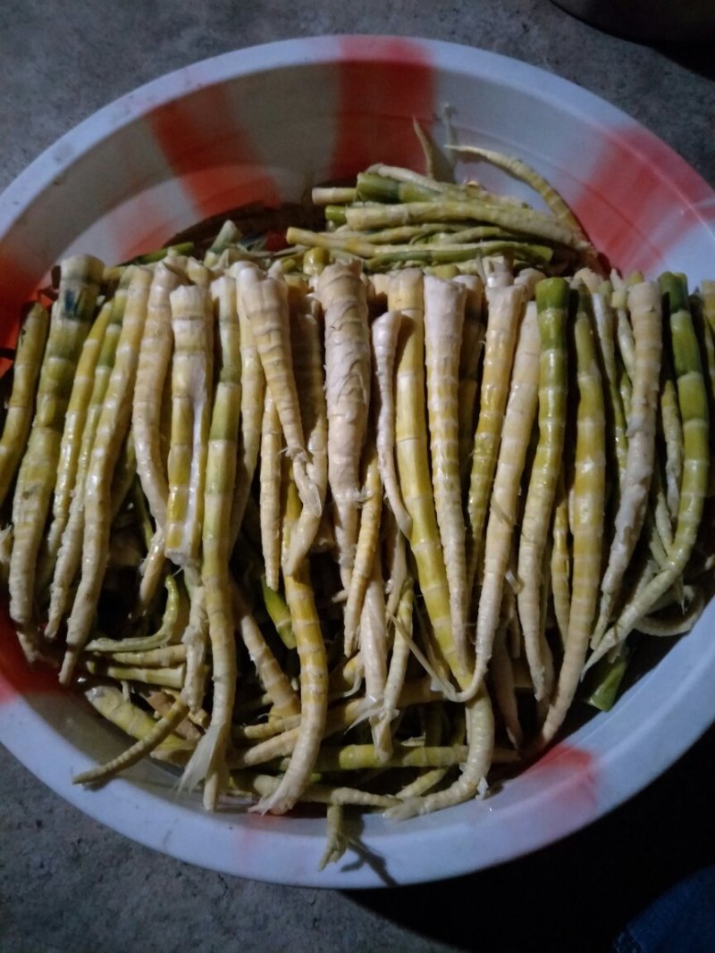 纯天然绿色食品《方竹笋》