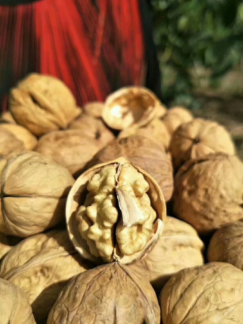 自己家产的核桃