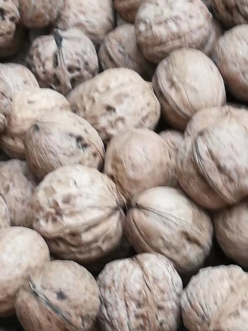 自己家产的核桃