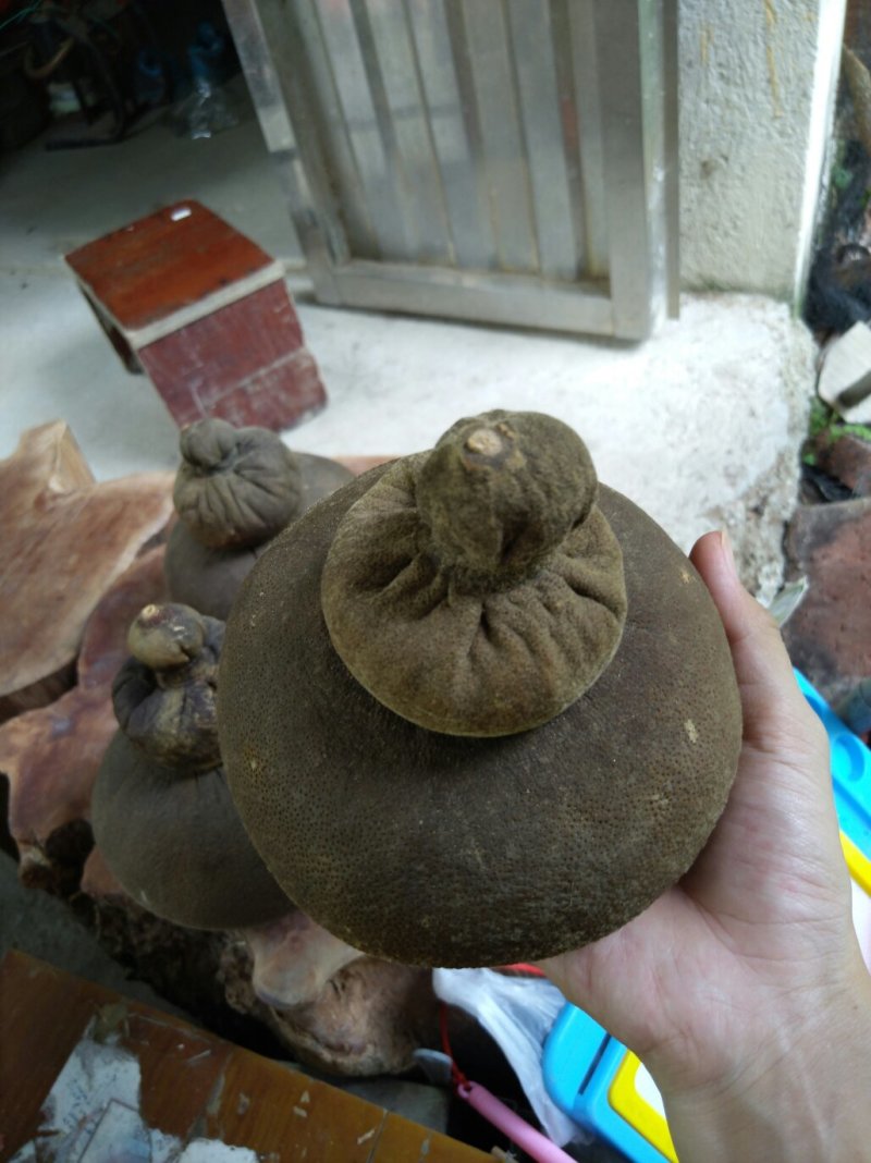 橘红茶叶壶纯手工制作