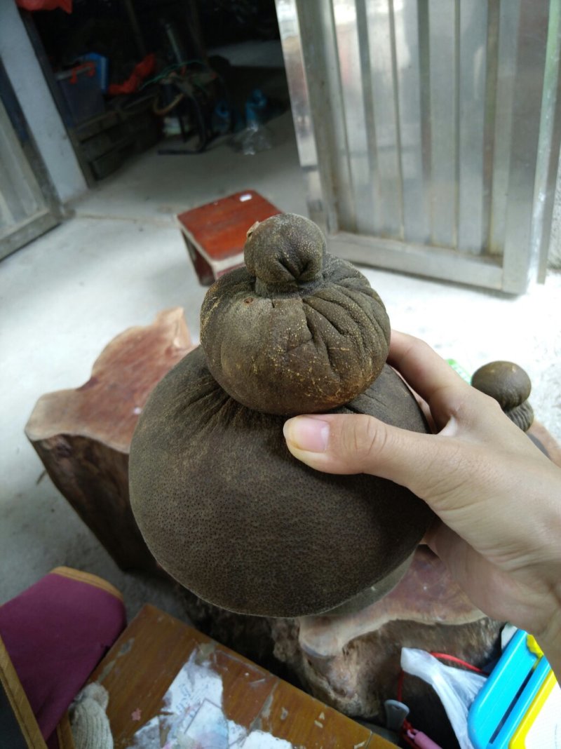 橘红茶叶壶纯手工制作