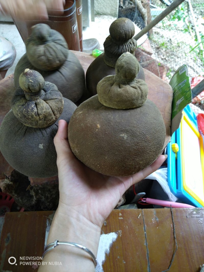 橘红茶叶壶纯手工制作