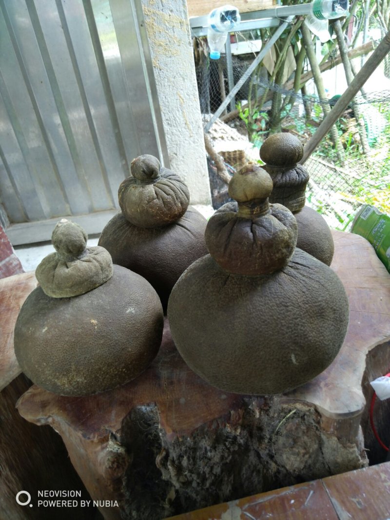 橘红茶叶壶纯手工制作