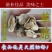 特级草菇5~6cm以上精品好货多种等级规格