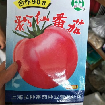 多汁小番茄