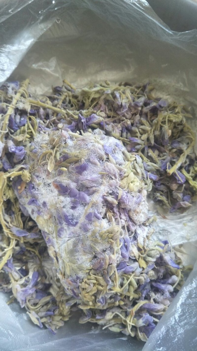 紫藤花