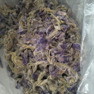 紫藤花
