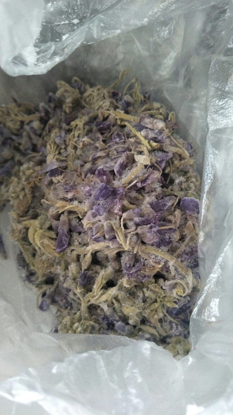 紫藤花
