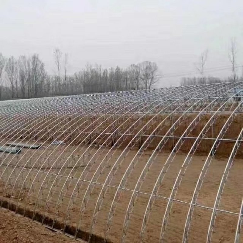 天津制作蔬菜大棚种植大棚厂家可来图来样定做