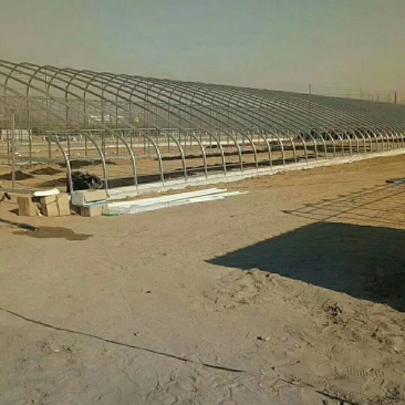 天津制作蔬菜大棚种植大棚厂家可来图来样定做