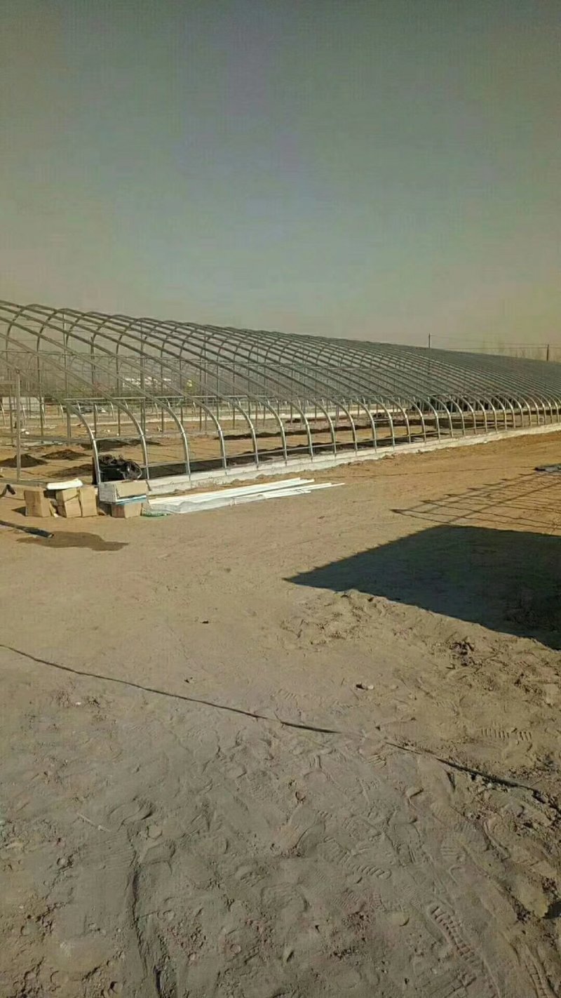 天津制作蔬菜大棚种植大棚厂家可来图来样定做
