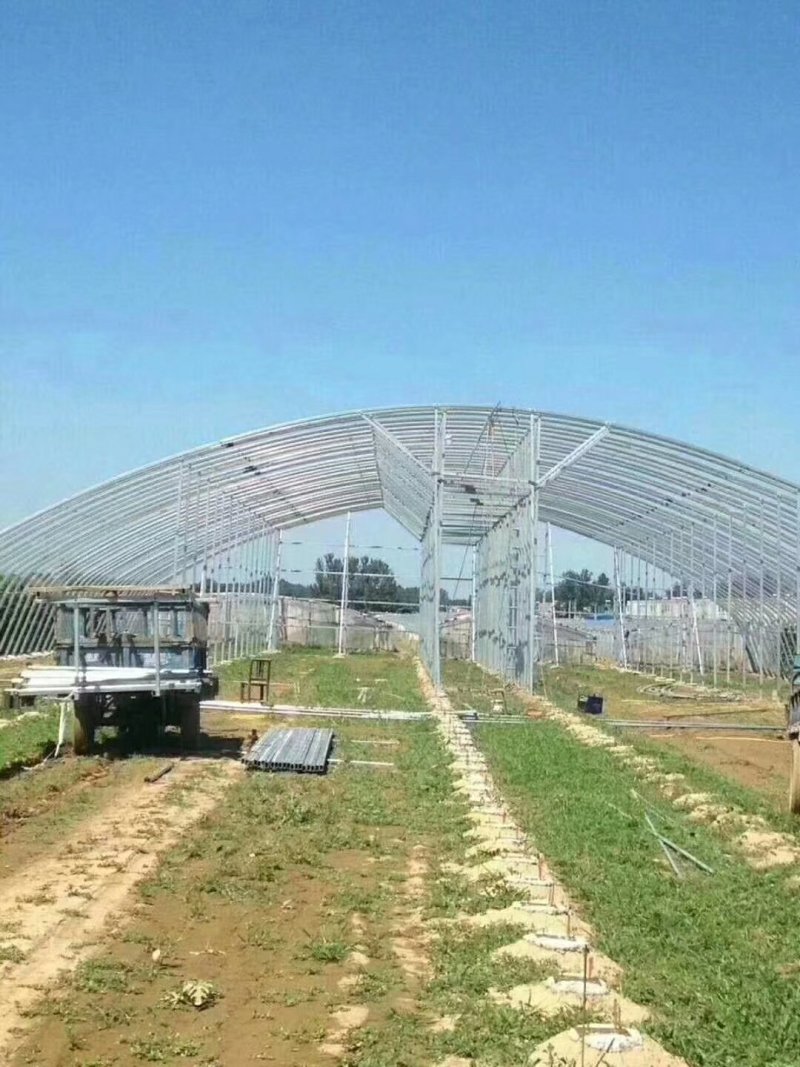 天津制作蔬菜大棚种植大棚厂家可来图来样定做