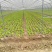 天津制作蔬菜大棚种植大棚厂家可来图来样定做