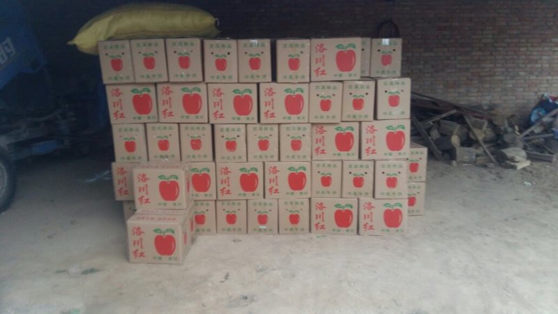 洛川红富士苹果，冷库商品，通货，