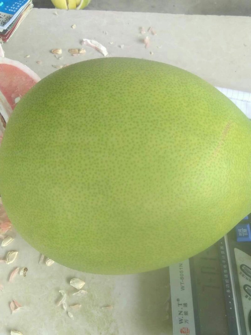 红心柚