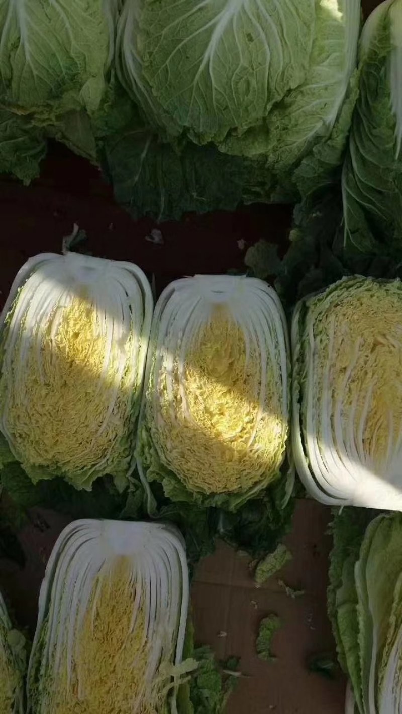 黄心白菜