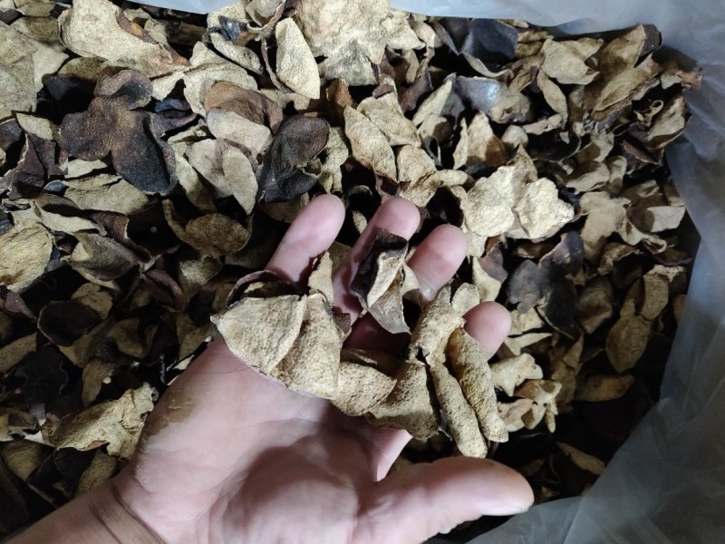 陈皮