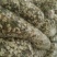 自产自销：广西浦北富硒陈皮，三年陈化，古法三瓣开皮。
