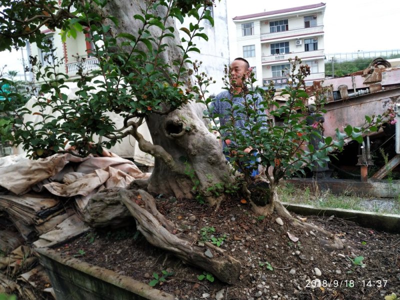 上点鲜货
