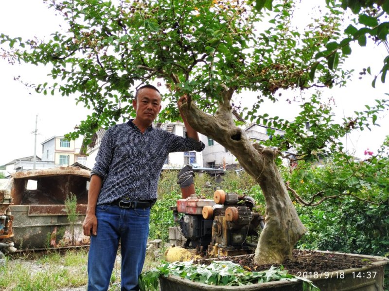 上点鲜货