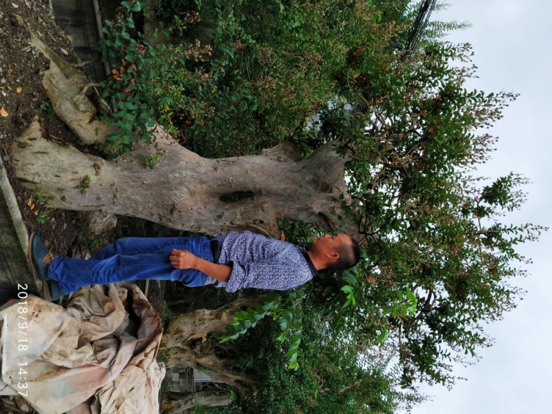 上点鲜货