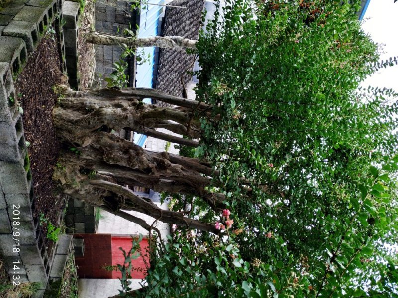 上点鲜货
