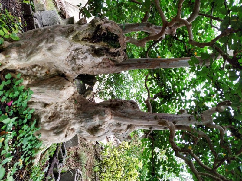 上点鲜货