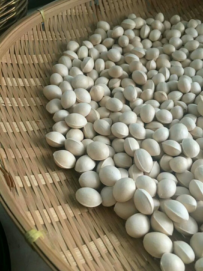 佛指白果
