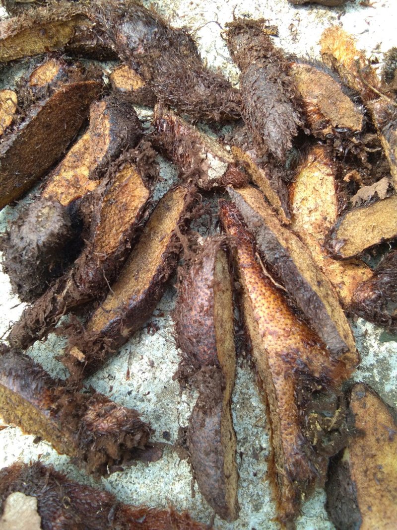 碎骨补
