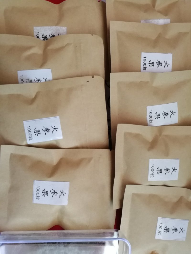 刺角瓜火参果种子批发
